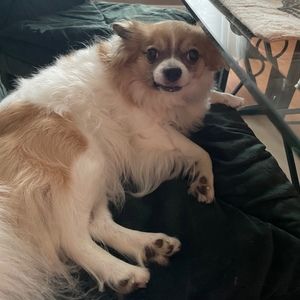 Meet your Posher, Linda